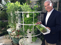 Vertical Gardens: Making Healthy Nutrition a Fun Activity