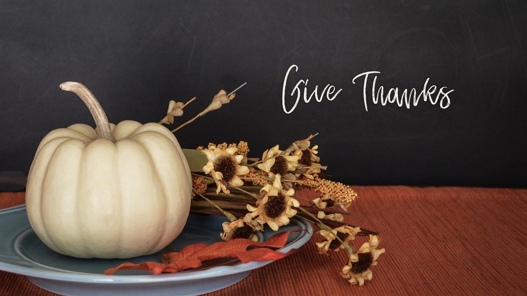Live With Gratitude – 7 Ways To Be More Thankful