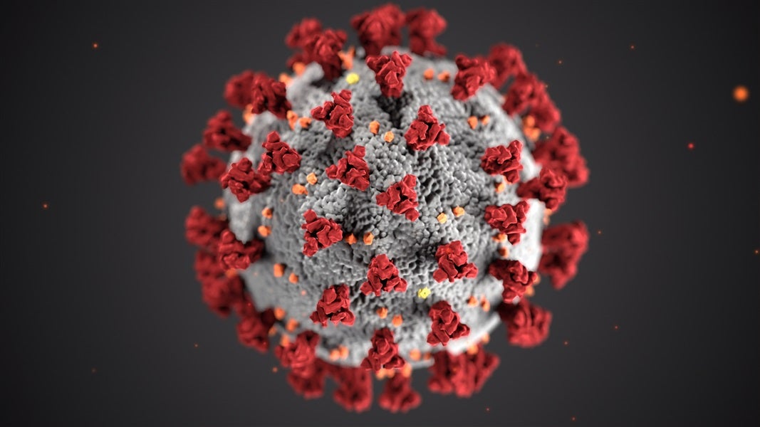 7 Lessons Learned During The Coronavirus Pandemic