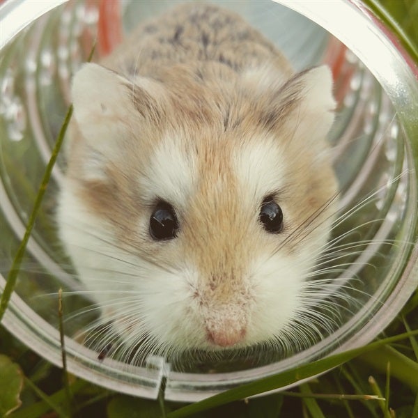 Escape The Rat Race: What School Failed To Teach You About Money