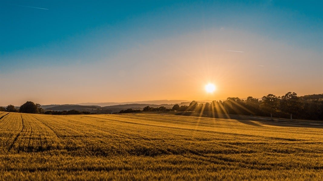 5 Reasons You Should Consider Raw Land Investing
