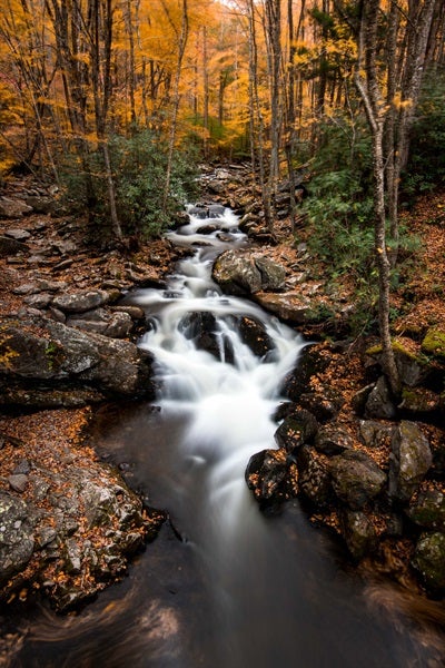 7 Streams of Income: The Secret To Becoming a Millionaire