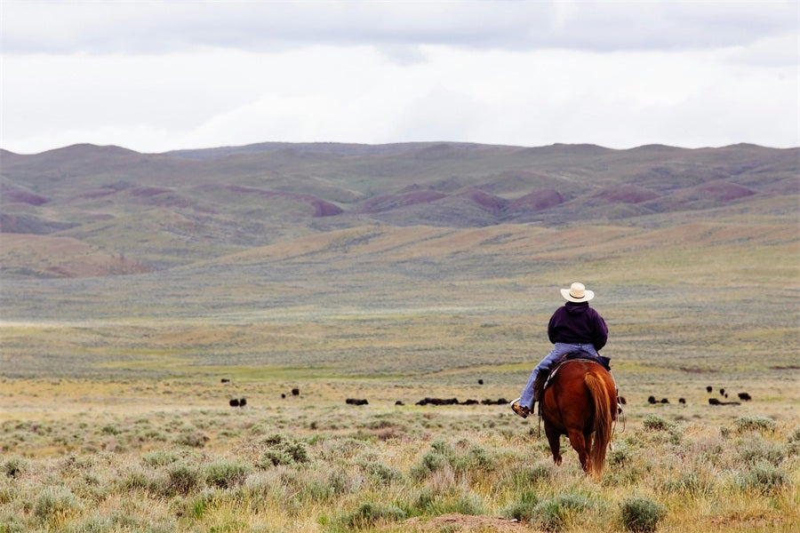 Should You Register Your Vehicle in Montana?