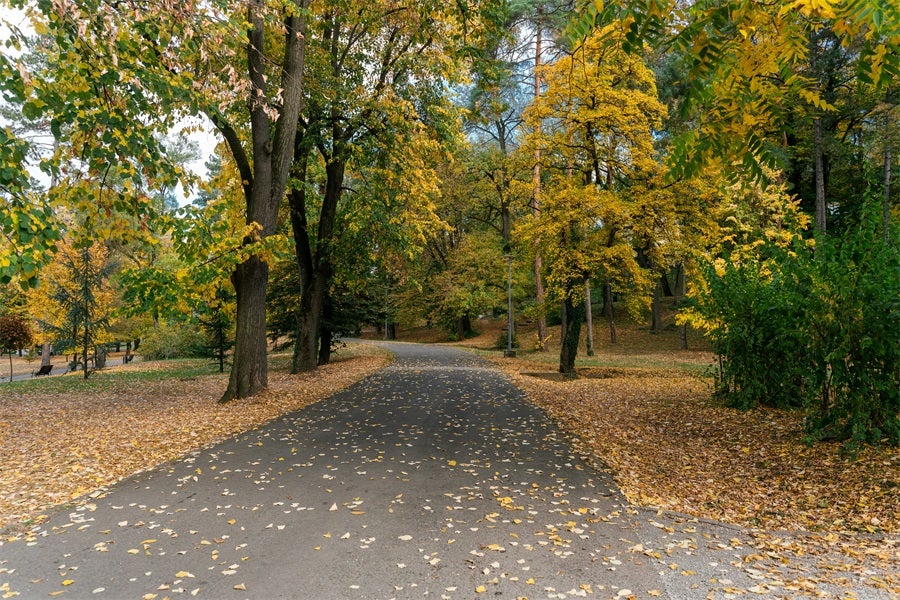 Passive Real Estate Investing Guide: Your Path to Financial Freedom