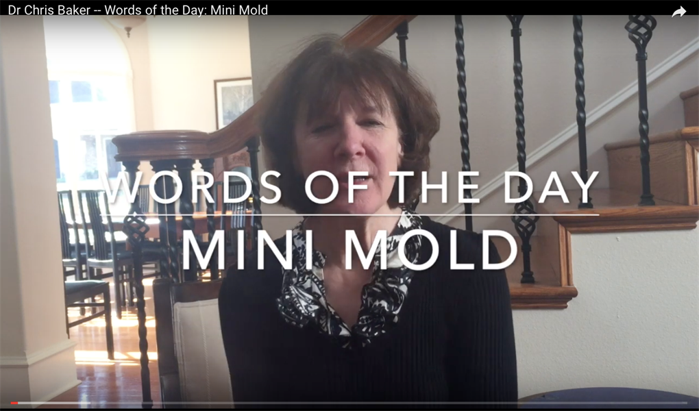 Words of the Day: Mini Mold