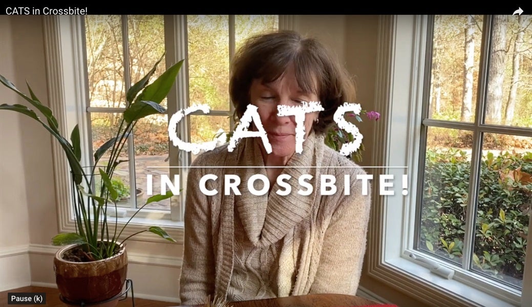CATS in Crossbite!