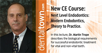 Next Level Endodontics: Modern Endodontics, Theory to Practice. By Dr. Martin Trope