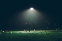 The Five Reasons Your Employees Don’t Work Together As A Team.