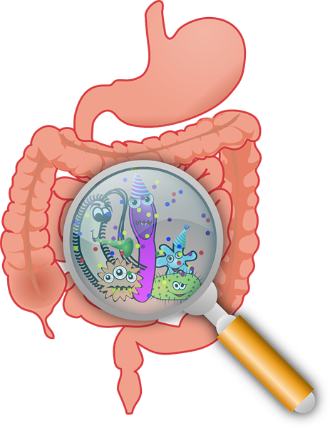 Leaky Gut & Periodontal Disease And All That Jazz