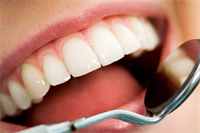 Dentist Majors: College Majors for Aspiring Dentists