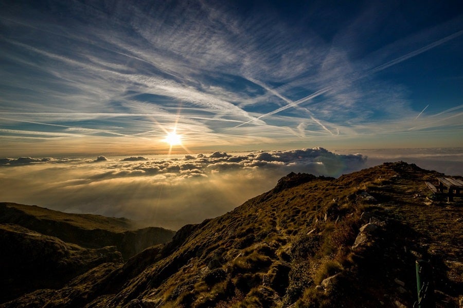 Need Someone To Help You Scale The Mountain Of Success? 