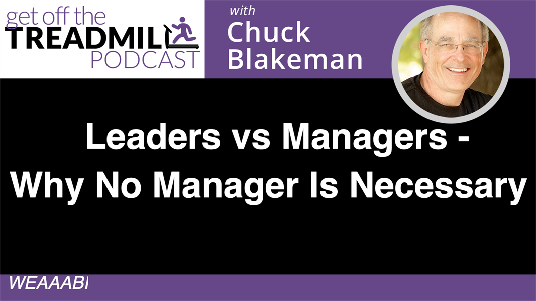 Leaders vs Managers - Why No Manager Is Necessary 