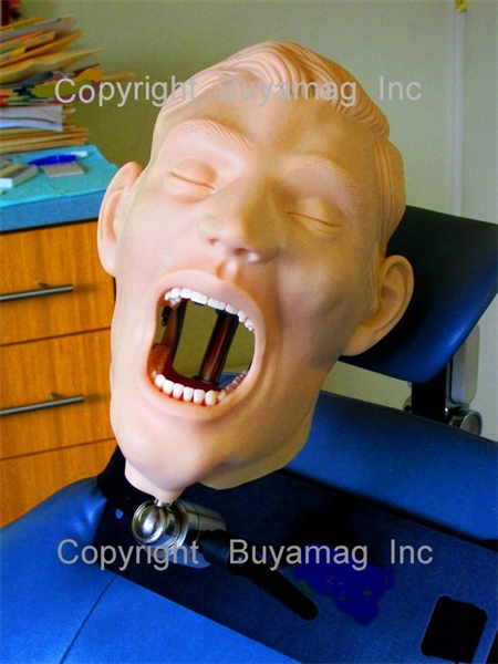 Buyamag.com we Design and Supply Dental Education Models, Manikins, Simulator Phantoms to Dental Schools for Teaching Students Dentistry Techniques, Procedures, Oral Examinations, Treatments  