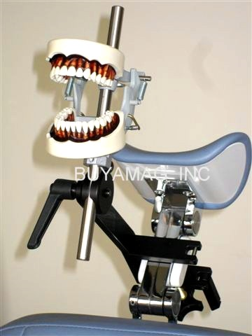 Buyamag.com offer dental students a portable dental models manikin simulation with universal dental chair headrest or on bench mount.  