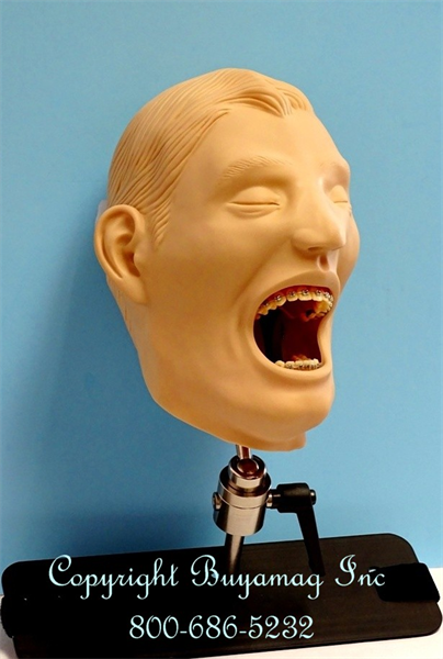 Orthodontic Models are the most important resource from Buyamag Inc for dental education schools .  