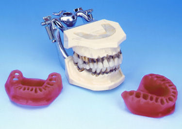 PERIODONTAL MODELS MANIKIN SIMULATORS FOR TRAINING PRACTICE TEACHING IN DENTAL SCHOOLS 