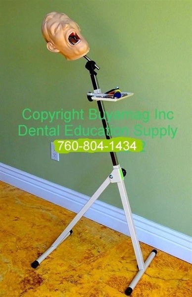 Panoramic Dental X-Ray Manikin Examnation Simulator Complete For Paractice X-Ray Techniques In Dental Schools