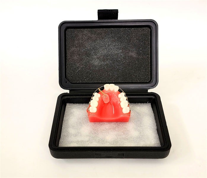 Orthodontic Cuspid Lok Models For 