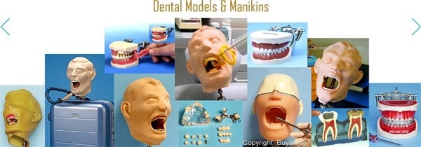 TMJ Model Joint Dysfunction Board Temporomandibular Simulator Shows Normal Posterior Pathology
