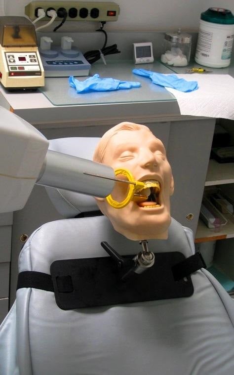 Dental Teeth Oral Radiography Simulator Manikin X-Ray Phantom Training