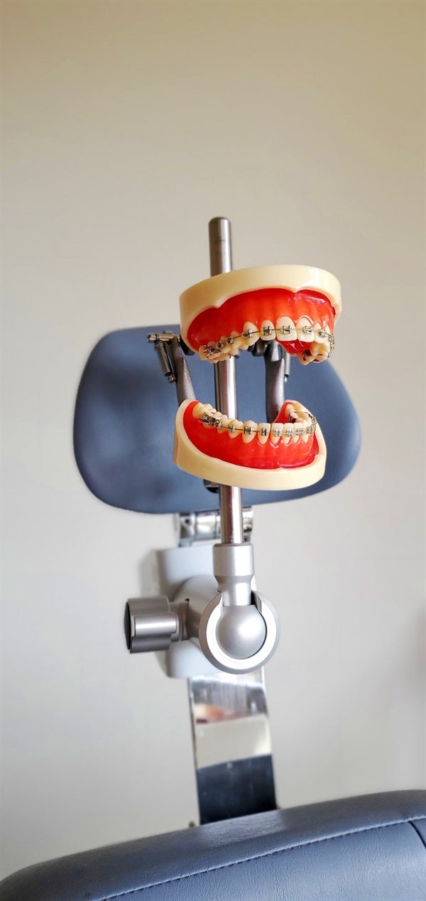 ORTHODONTIC MODELS ARE IMPORTANT PRACTICE BUILDING RESOURCE FOR ORTHODONTIC OFFICE DOCTORS