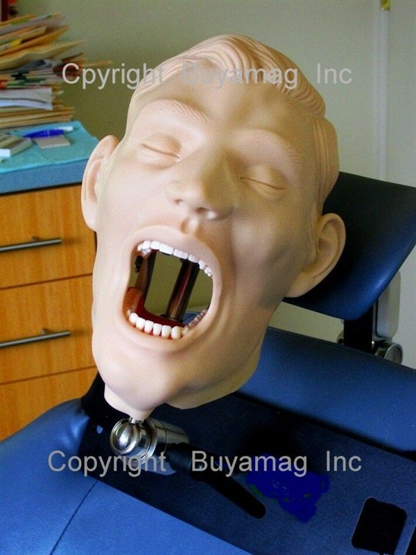 PERIODONTAL MODELS MANIKIN SIMULATORS FOR TRAINING PRACTICE TEACHING IN DENTAL SCHOOLS 