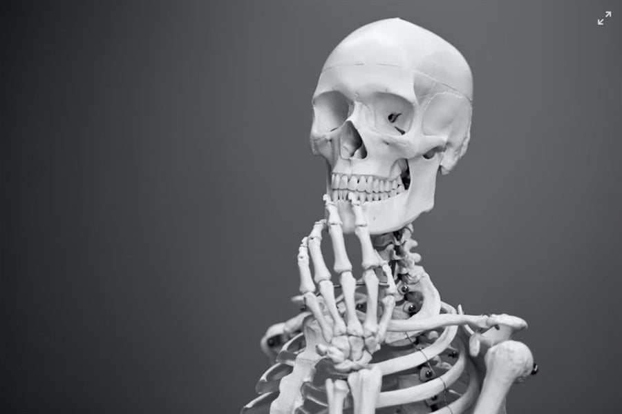 How Chiropractic and Dental Care Coincide