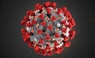 COVID and Your Immune System