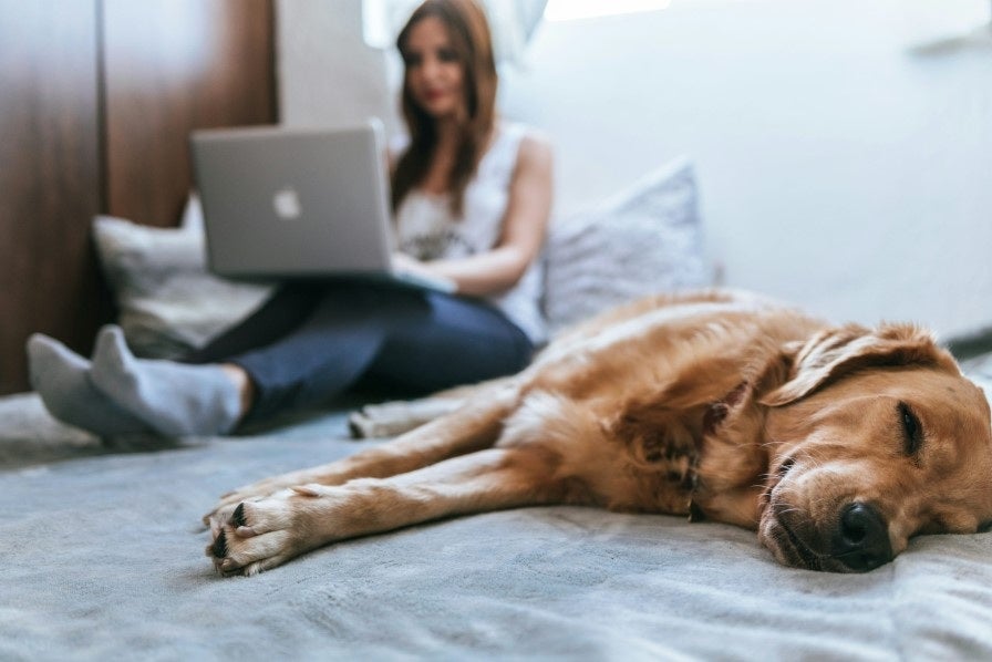 What Are the Different Ways Online Therapy Can Benefit People Seeking Mental Health Support?