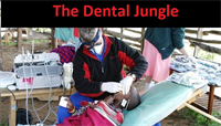 The Dental Jungle – Operatories