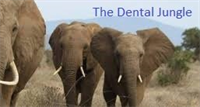 The Dental Jungle - The New Patient