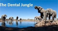 The Dental Jungle – Eliminate Wasted Time
